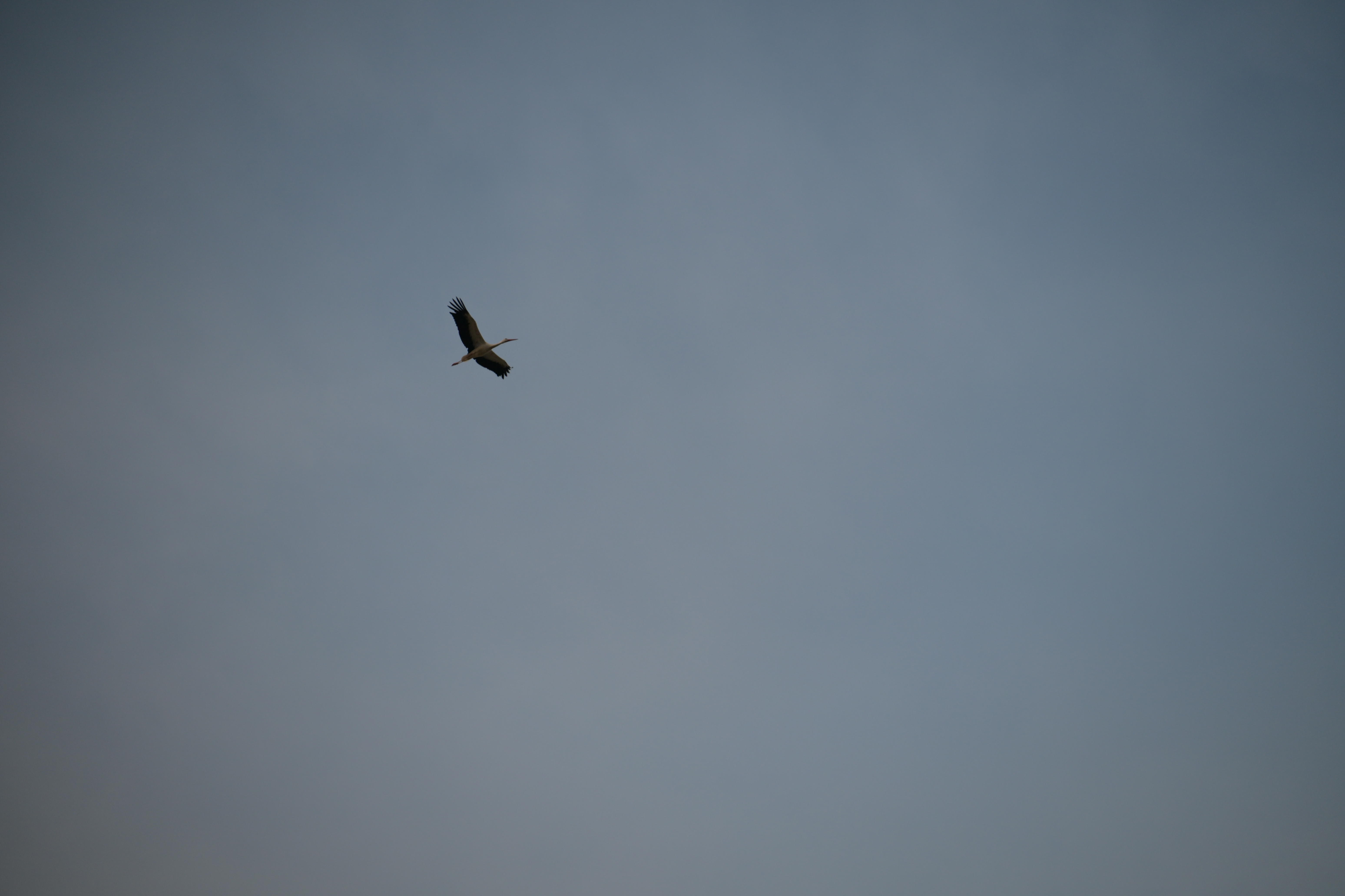 LK8_4309.JPG